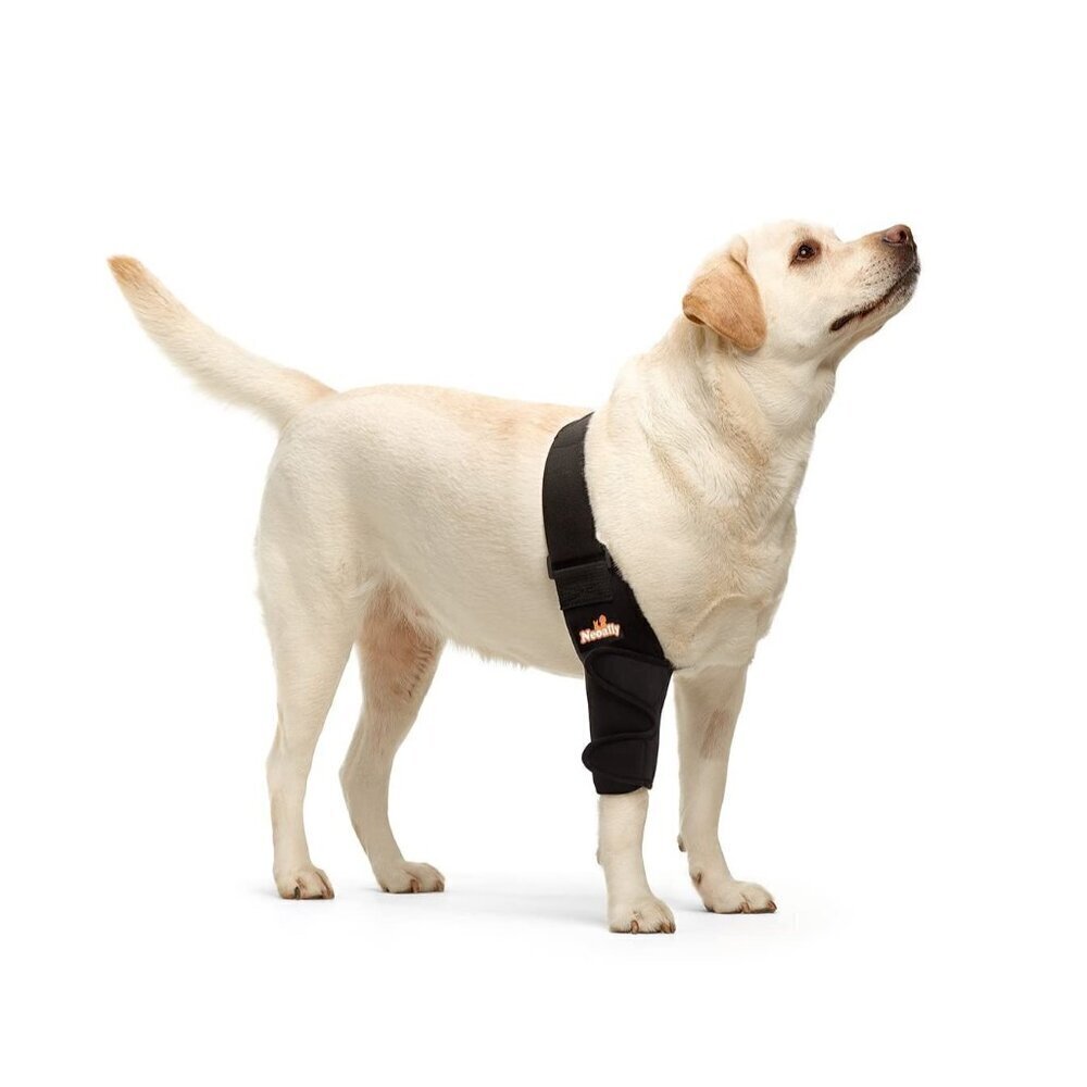 NeoAlly Dog Elbow Brace Protector Pads for Canine Elbow and Shoulder Support